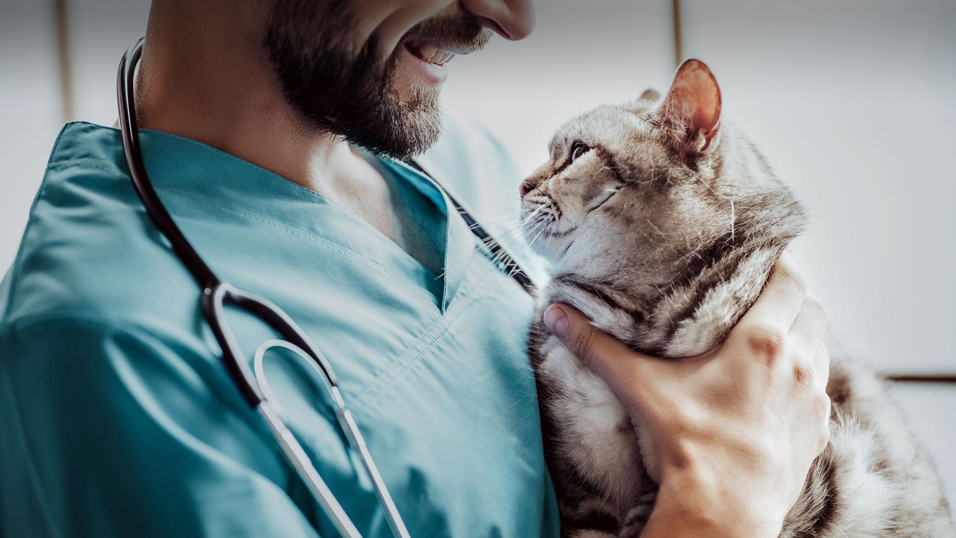 Ilıpınar Veteriner